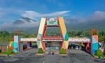 Lâm Viên Núi Cấm: "Khoang giảm áp" hoàn hảo cho hành trình chạm tới biển mây