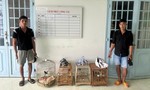 Bắt 2 đối tượng lẻn vào nhà dân trộm 4 con chim cảnh