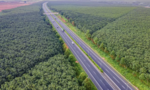 Đề xuất đầu tư cao tốc đoạn Đức Hoà-Mỹ An gần 64km, trị giá 45.500 tỷ đồng