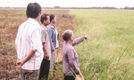 Được minh oan nhờ… Báo Công an TPHCM (bài 3)