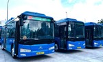 TPHCM: Chi tiết 134 tuyến xe buýt miễn phí 100% giá vé cho người sử dụng