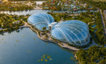 Những công trình chắp cánh cho TPHCM bay vào kỷ nguyên mới