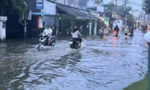 TPHCM chi gần 228 tỷ đồng để tu sửa, xây dựng cấp bách 89 công trình phòng, chống thiên tai