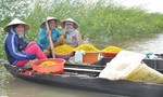 Mùa điên điển trổ bông