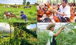 Hàng loạt chính sách mới về vận tải, đấu thầu, đất đai, tài chính... có hiệu lực trong tháng 8/2026