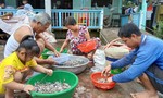 Tiếng rao cá linh giữa mùa nước gọi