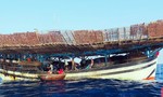 Đà Nẵng: Tập trung phối hợp tìm kiếm tàu cá cùng 50 ngư dân mất liên lạc trên biển