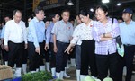 TP.Hồ Chí Minh: Siết chặt kiểm soát an toàn thực phẩm ngay từ gốc
