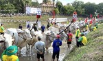 Lễ hội đua bò Bảy Núi - di sản văn hóa sống động của vùng đất An Giang