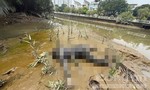 TPHCM: Tìm người nhà của một thanh niên tử vong gần cầu Phú Mỹ
