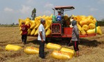 Đồng bằng Sông Cửu Long: Hướng đến mục tiêu trở thành vùng động lực tăng trưởng lớn nhất cả nước