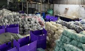 Video: Công an TPHCM phá đường dây sản xuất dép giả các nhãn hiệu nổi tiếng, thu giữ 23.000 đôi dép