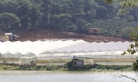 Lâm Đồng: Hồ cấp nước sạch Đan Kia – Suối vàng bị uy hiếp