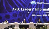 Chủ tịch nước dự khai mạc Hội nghị các nhà lãnh đạo kinh tế APEC