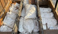 Chế tạo hầm bí mật trên ôtô để chuyển 4,5 tấn vảy tê tê và gỗ trắc từ Lào về Việt Nam
