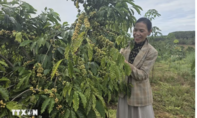 UNDP ghi nhận Việt Nam thuộc nhóm quốc gia đạt tiến bộ nhanh trong giảm nghèo đa chiều