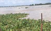 Tìm thân nhân thi thể phụ nữ có hàm răng giả, trôi trên sông Tiền