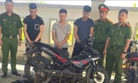 Nhóm đối tượng dùng súng bắn điện một đêm trộm gần chục con chó