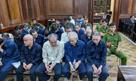 Giám đốc trung tâm đào tạo lái xe hối lộ để né truy thu 40 tỷ đồng bị đề nghị 30 năm tù