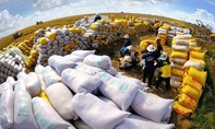 Giá gạo tại Châu Á tăng vọt do ảnh hưởng chiến tranh Iran