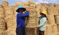 Bài 2: Thích ứng để tồn tại