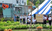 Xóa sổ bãi rác, hành lang đường sắt cầu Hang Ngoài "khoác áo mới" bằng vườn hoa rực rỡ