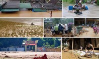 Chính phủ ban hành “bộ khung” hành động trong tăng cường phòng, chống thiên tai