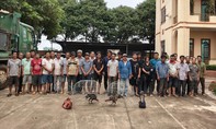 Đột kích trường gà quy mô lớn, bắt giữ 31 đối tượng
