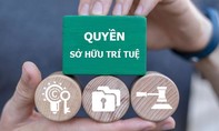 Kết luận của Bộ Chính trị về đẩy mạnh công tác sở hữu trí tuệ phục vụ phát triển kinh tế - xã hội trong tình hình mới