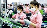 Chủ trương nhất quán của Việt Nam là nghiêm cấm mọi hình thức lao động cưỡng bức