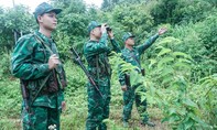 Bài 2: Con đường thẩm lậu của chất kịch độc