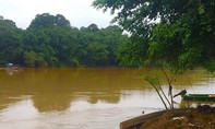 Đắm mình trong “mảng xanh” của Vườn quốc gia Cát Tiên