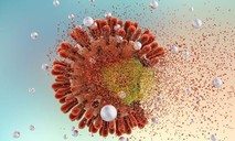Thử nghiệm lâm sàng vaccine ngừa HIV tại Mỹ và Nam Phi
