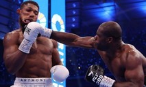 Clip võ sĩ Joshua bị knock-out trong trận tranh đai thế giới