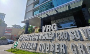 Năm 2022: Tập đoàn Cao su Việt Nam đạt lợi nhuận trước thuế 5.200 tỷ đồng