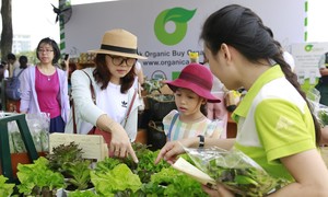 “Sống xanh – Sống khỏe” - Ngày hội Xanh Phú Mỹ Hưng lần 5 – 2022