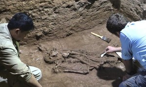 Phát hiện bằng chứng về phẫu thuật đoạn chi trong hang động Indonesia
