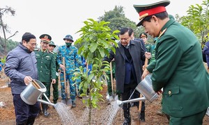 Hăng hái tham gia trồng cây vì một Việt Nam xanh, an toàn, phát triển bền vững
