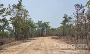 Vụ múc đất rừng để làm đường: Tỉnh Gia Lai yêu cầu kiểm tra