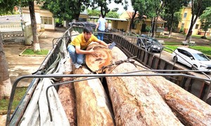 Phát hiện xe đầu kéo vận chuyển số lượng gỗ lớn tại biên giới
