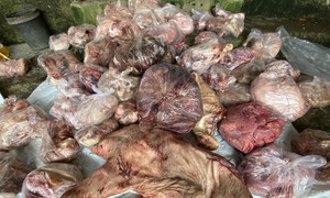Thừa Thiên Huế: Công an tạm giữ hơn 3 tấn thực phẩm không rõ nguồn gốc