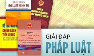 Người bị kiện trốn tránh không ra tòa thì giải quyết thế nào?