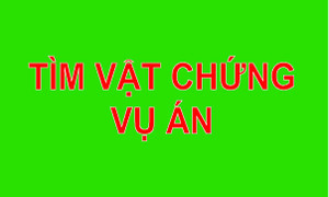 Công an Quận 12 tìm vật chứng vụ trộm cắp tài sản