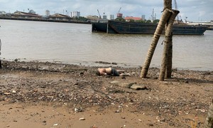 Tìm thân nhân của người đàn ông chết trôi trên sông Sài Gòn