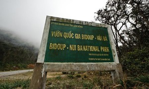 Thu hồi hơn 1,2 tỉ đồng chi sai từ Vườn quốc gia Bidoup - Núi Bà