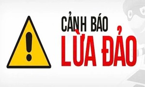 Xuất hiện tình trạng lừa bán bảo hiểm ôtô giả mạo