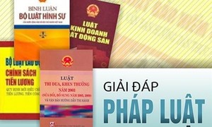 Bỏ xe vi phạm bị phạt thế nào?