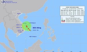 Các tỉnh duyên hải Nam Trung bộ: Khẩn trương ứng phó với áp thấp nhiệt đới