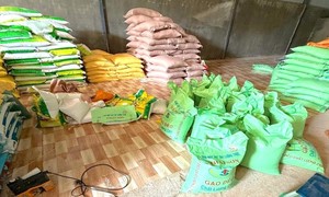Khởi tố vợ chồng sản xuất gạo dẻo giả thương hiệu nổi tiếng