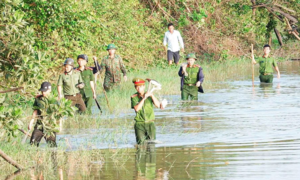 Nước mắt chim trời (Bài 2)